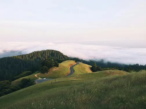 Landscape 6