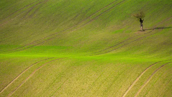 Dawid Zawila Jd9jplzmeou Unsplash