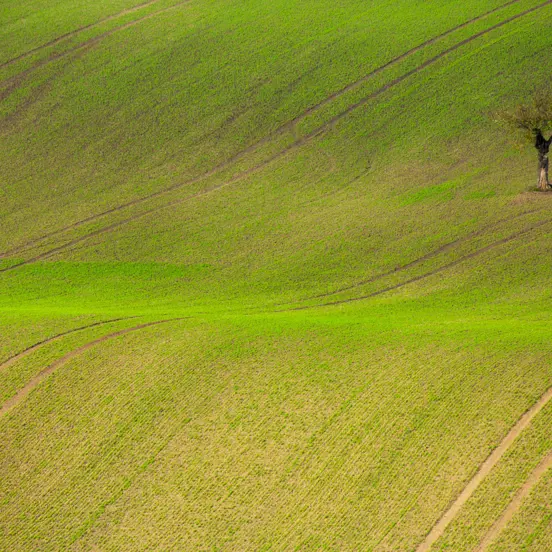 Dawid Zawila Jd9jplzmeou Unsplash