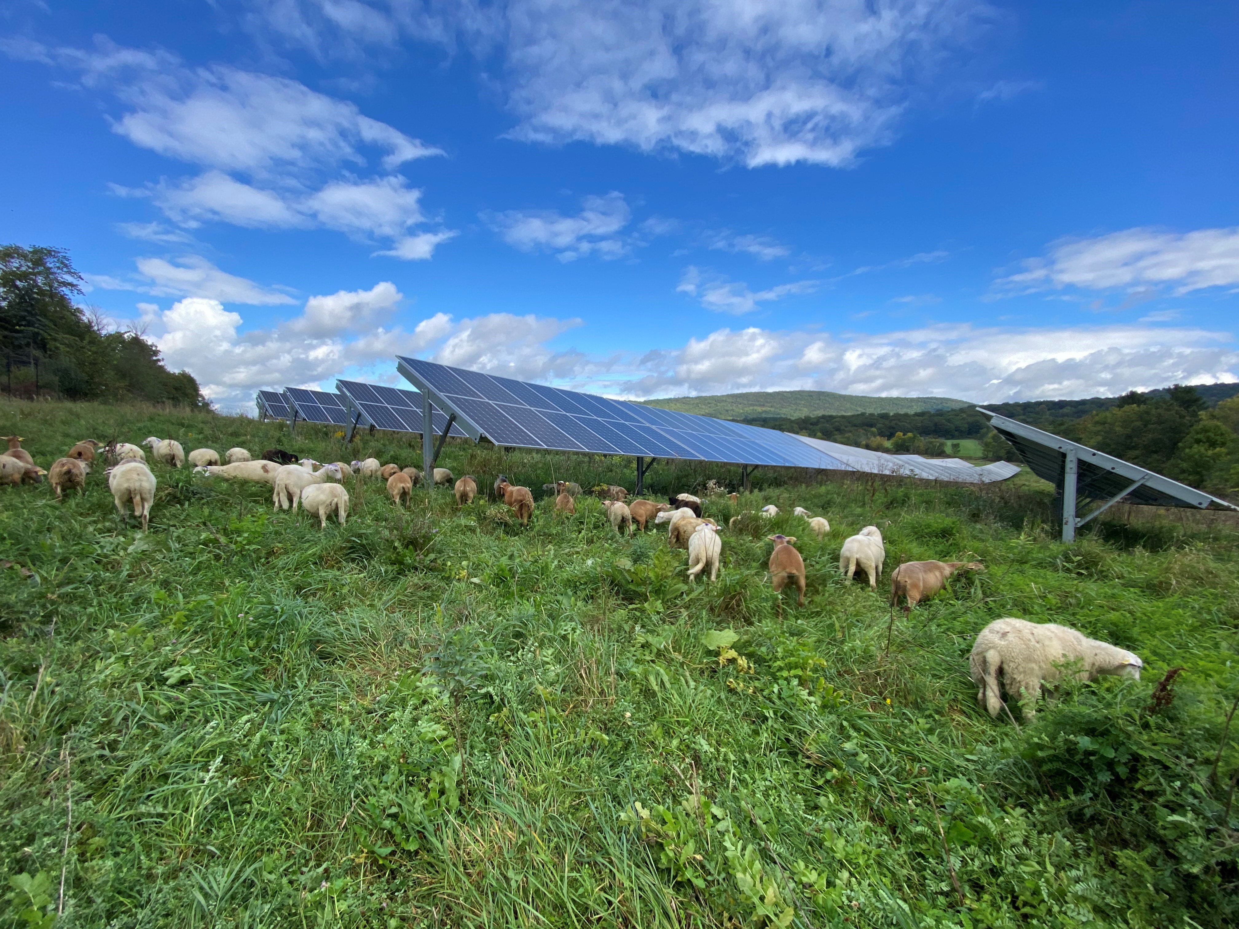 Green Street Power Partners