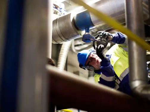 Worker In The Plant