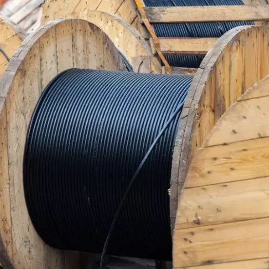 Projet CELESTE Wholesale FON